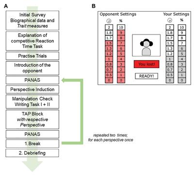 Self-Distancing as a Strategy to Regulate Affect and Aggressive Behavior in Athletes: An Experimental Approach to Explore Emotion Regulation in the Laboratory